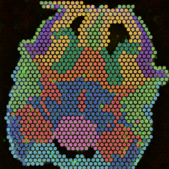 cluster